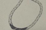 Seil