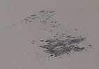 Blutspur