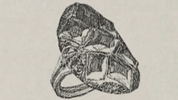 Celine Henrys fehlender Ring